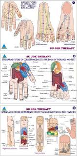 14 Read The Booklet Acupressure Reflex Points Link Http