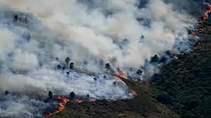 Los incendios avanzan sin control en España y Francia: hay más de 170.000 evacuados y miles