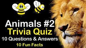 Parazoa include organisms such as sponges and placozoans. Animals Trivia Quiz Animal Kingdom 2 10 Trivia Questions And Answers 10 Fun Facts Trivia Questions And Answers Trivia Quiz Funny Questions