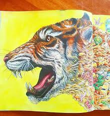 Casey Wood On Instagram This Was Alot Of Fun Too Colouringforadults Colouringbook Coloringforadult Instagram Art Animal Tattoo Coloring Books