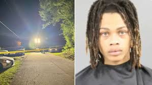 Laporshia Cobb, Anderson woman killed during Juneteenth mass shooting