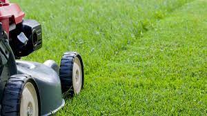 Check out each one, ask them questions. Lawn Mowing Services Request A Lawn Mowing Quote Jim S Mowing Gardening Canada