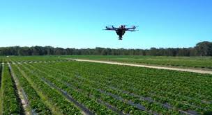 Image result for israeli agriculture