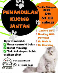 Dr Zawani Animal Clinic Kuching