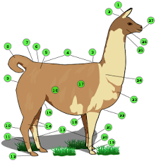 This is because there is no way of knowing exactly what are, or would have been, the autarky mrts or mrss. Llama Wikipedia