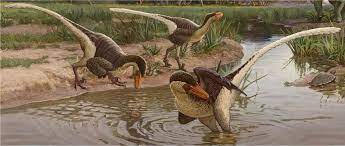 Maybe you would like to learn more about one of these? New Feathered Dinosaur Was One Of The Last Surviving Raptors