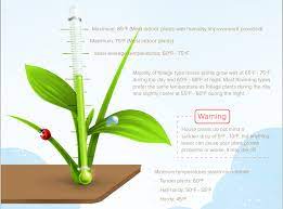 Indoor Plant Temperature Guide The Plant Guide Indoor Plants Indoor Plant Guide