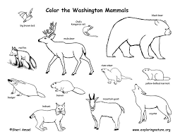 Get colorful woodland ebook owls on a tree sample page. Woodland Animals Coloring Pages Coloring Home