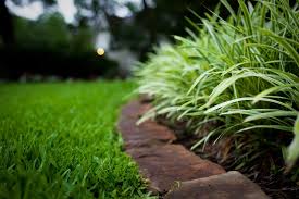 We all love to flaunt a spotless garden but are short of time and energy to take care of the lawn day in and day out. Lawn Care Service Prices What Are Reasonable Service Prices Trugreen