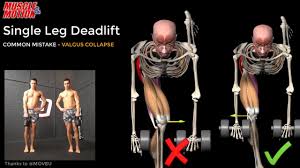 Also known as the single leg rdl, this exercise not only provides an excellent lower body workout, but also carries over to work other key areas. Single Leg Deadlift Youtube
