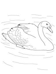 Free pond life coloring pages printable for kids and adults. Mute Swan In A Pond Coloring Page Free Printable Coloring Pages For Kids