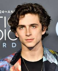 The curtains hairstyle is rooted in the nineties, but is very much back in fashion thanks to the likes of timothee chalamet. 11 Trending Curtain Hairstyles Worth Looking At 2020 Update