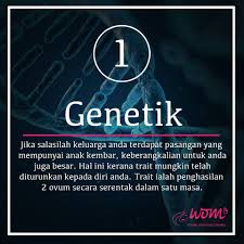 Tidak ramai sebenarnya yang dapat merasai sepasang bayi di dalam kandungan. Tips Mendapatkan Anak Kembar Sepasang Wom My Kembar Kelahiran Anak Tips