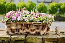 寄せ植えの基本知識 おしゃれに仕上げるコツ 寄せ植え ガーデニングのアイデア 植物栽培