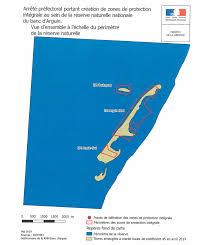 Banc D Arguin De Nouvelles Zones