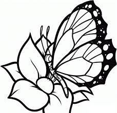 Profile of a butterfly with flowers. Free Printable Butterfly Coloring Pages For Kids