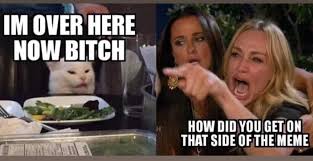 Oh How The Tables Have Turned In 2020 Funny Dog Memes Funny Cat Memes Stupid Funny Memes