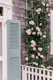 A Week On Nantucket Part 2 Julia Berolzheimer Climbing Roses Climbing Roses Trellis Plant Wall