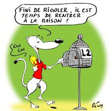 RÃ©sultat de recherche d'images pour "fc nantes humour"