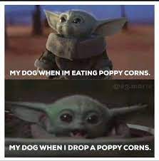 Baby Yoda Popcorn Dog In 2020 Yoda Funny Funny Star Wars Memes Yoda Meme
