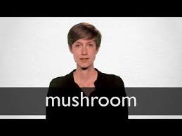 Traduzione Italiano Di Mushroom Dizionario Inglese Italiano Collins Trainer lessicale, tabelle di coniugazione verbi, funzione di pronuncia gratis. dizionario inglese italiano collins