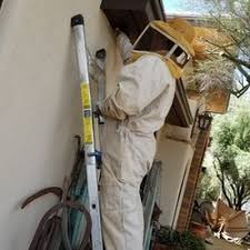 The original diy pest control supply store. Pest Control In Oro Valley Yelp