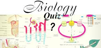 Biology trivia questions part 1. Quiz Bac Es Sciences