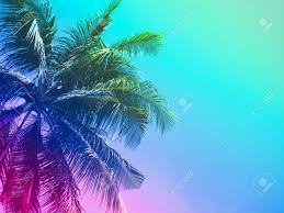 Check spelling or type a new query. Coconut Palm Trees On Summer Colorful Sky Beautiful Tropical Background With Space Stock Photo Picture And Royalty Free Image Image 103120365