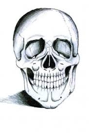 Maybe you would like to learn more about one of these? How To Draw A Skeleton Head 7 Steps Instructables