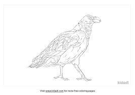 Select from 32864 printable crafts of cartoons, nature, animals, bible and many more. Common Wombat Coloring Pages Free Animals Coloring Pages Kidadl