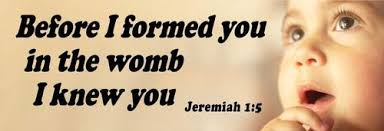 Now, this doesn't mean that a person is abnormal if they don't grieve a relation they never knew. Before I Formed You In The Womb I Knew You Jeremiah 1 5 Prolife Bumper Stickers