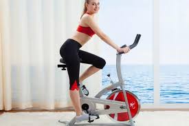 What Is The Best Exercise Bike For A Very Tall Person Biking Workout Best Exercise Bike Recumbent Bike Workout