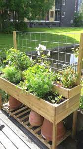 Summer Vegetable Garden Layout Moestuinbak Tuin Ideeen Kruidenbakken