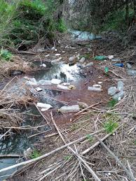 images?q=tbn:ANd9GcQAP84KoMG8zJmcUpc2cN_zGsyDjrjlg4hX2w&s