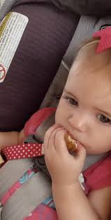 Stuart Doyle (@studoylepastor)