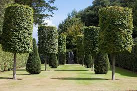 Tree service building contractors general contractors. 5 Easy Facts About Tree Trimming Services