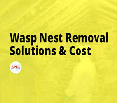 Perfect combination of pest control knowledge and amazing costumer service. Wasps Nest Removal What You Need To Know Solutions And Cost