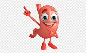 Stomach Abdomen Gastric Acid Digestion Cartoon Character Hand Png Pngegg Stomachs cartoons, stomachs cartoon, funny, stomachs picture, stomachs pictures, stomachs image, stomachs images, stomachs illustration raise your hand if you support this dorky trend! stomach abdomen gastric acid digestion
