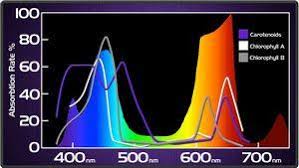 Gardeners.com has been visited by 10k+ users in the past month Kind Led K5 Xl1000 Review Learn Why It May Be Wrong For You Grow Light Central