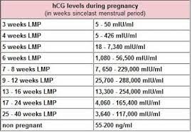 Hcg Levels The American Pregnancy Association