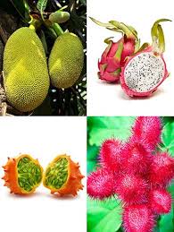 The jackfruit is related to the breadfruit and the marang. Strange Fruits Weird Fruit