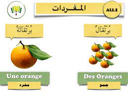 لب رت قال أو النرنج نوع من أنواع الحمضيات وهو مصدر ممتاز لفيتامين سي ويساعد فيتامين سي في البرتقال على امتصاص الكالسيوم في الجسم