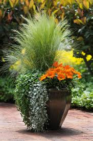 Best Backyard Ideas For Landscaping Oh My Creative Plants Container Gardening Container Gardening Flowers