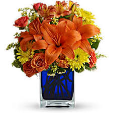 We did not find results for: Flower Color Meanings Symbolism Teleflora