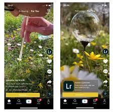 Check spelling or type a new query. The Ultimate Guide To Tiktok Marketing Later Blog