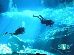 The professional association of dive instructor (padi) scuba diver certification, which is recognized worldwide and valid for life, allows holders to dive to a maximum depth of 40 feet. A Complete Guide To Scuba Diving In Mexico Dive Holiday