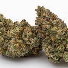 Wedding Pie Highbrow Craft Cannabis