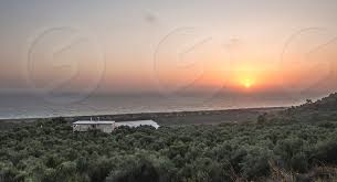 Olive Trees Sea And Sunset Kalamata Greece By Deyan Georgiev Photo Stock Snapwire