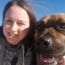 Blue Heeler and Jack Russell mix: everything about this breed