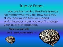Your Brain, My Brain Your Intelligence Is Within Your Control. - Ppt  Download